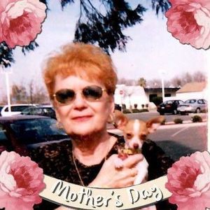 Meet your Posher, Joyce